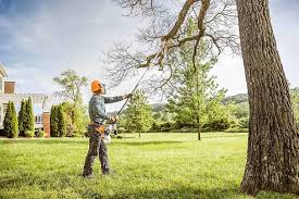 Best Weed Control  in Marion, OH