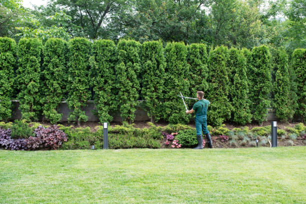 Best Arborist Consultation Services  in Marion, OH